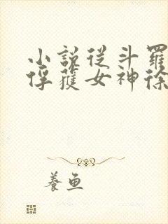 小说从斗罗开始俘获女神徐然/朱竹清全文阅