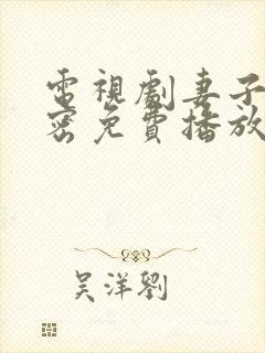 电视剧妻子的秘密免费播放