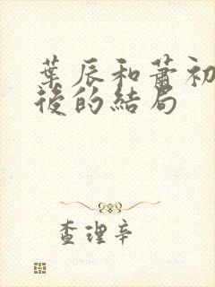 叶辰和萧初然最后的结局