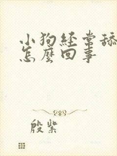 小狗经常舔爪子怎么回事