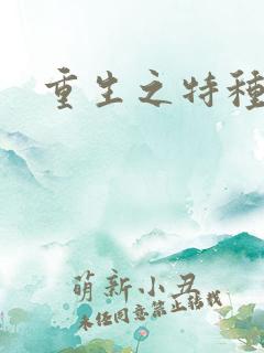 重生之特种军嫂