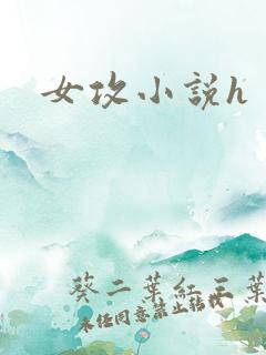 女攻小说h