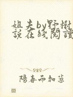 姐夫by野树小说在线阅读全文