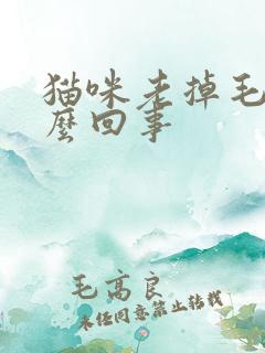 猫咪老掉毛是怎么回事