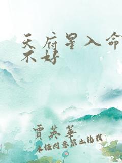 天府星入命宫好不好