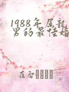 1988年属龙男的最佳婚配