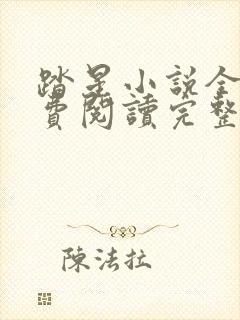 踏星小说全文免费阅读完整版无弹窗