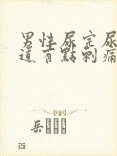 男性尿完尿后尿道有点刺痛怎么办