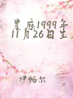 农历1999年11月26日生辰八字