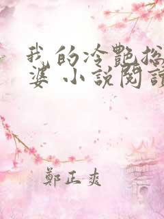 我的冷艳总裁老婆 小说阅读