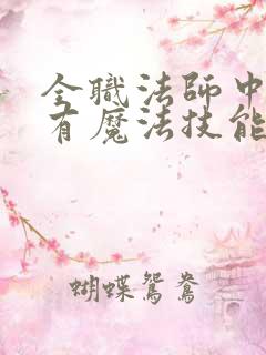 全职法师中的所有魔法技能