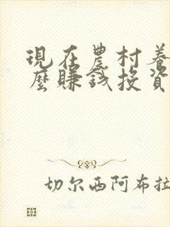 现在农村养殖什么赚钱投资小利润大
