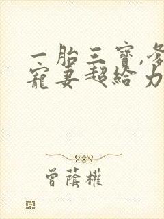 一胎三宝,爹地宠妻超给力亦小钱