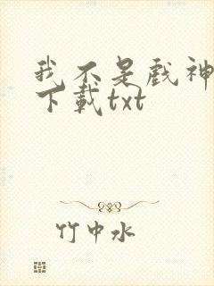 我不是戏神小说下载txt