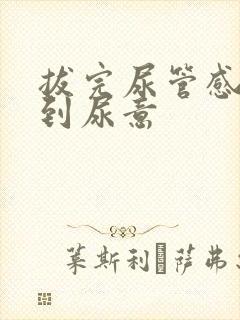 拔完尿管感觉不到尿意