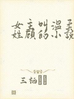 女主叫温柔男主姓顾的小说