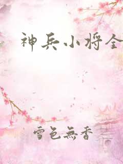 神兵小将全集啊