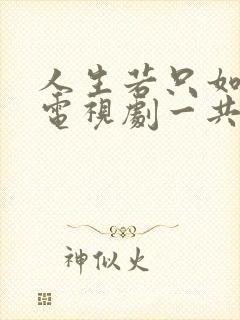 人生若只如初见电视剧一共多少集