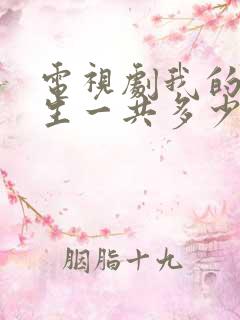 电视剧我的后半生一共多少集