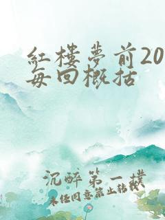 红楼梦前20回每回概括