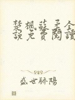 楚枫苏柔全本小说免费阅读