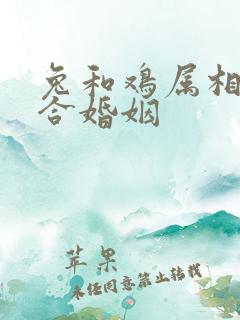 兔和鸡属相合不合婚姻