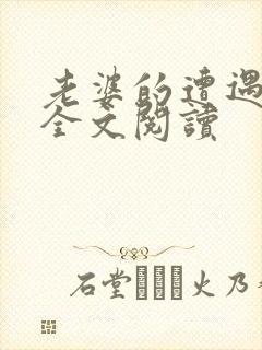 老婆的遭遇小说全文阅读