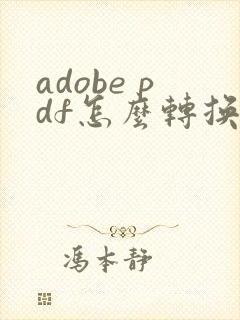 adobe pdf怎么转换成word