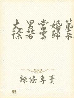 大男当婚第二部徐若云归来