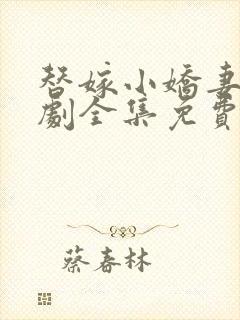 替嫁小娇妻电视剧全集免费观看高清版