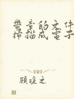带章的文件怎么扫描成电子版