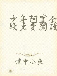少年阿宾全文在线免费阅读