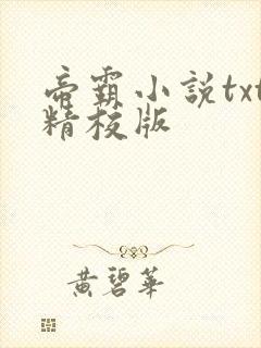 帝霸小说txt精校版