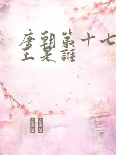 唐朝第十七位帝王是谁