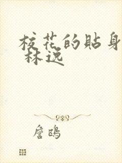 校花的贴身保镖 林逸