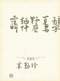 霍栖野夏稚小说叫什么名字