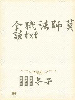 全职法师莫凡小说txt