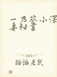 一乃葵小泽彻人妻秘书