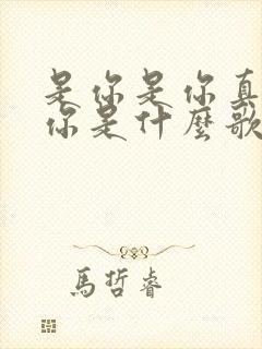 是你是你真的是你是什么歌