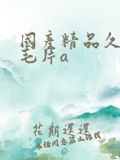 国产精品久久久毛片a