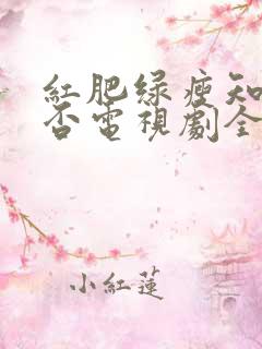 红肥绿瘦知否知否电视剧全集