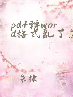 pdf转word格式乱了怎么快速调整