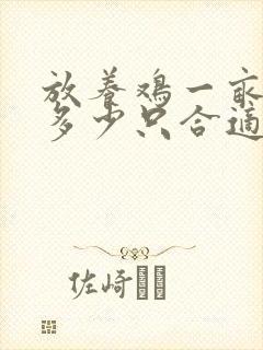 放养鸡一亩地养多少只合适