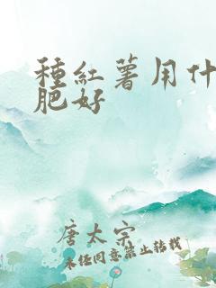 种红薯用什么底肥好