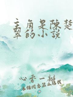 主角是陈楚和刘翠的小说