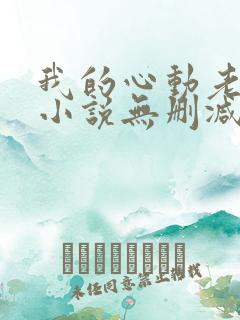 我的心动老板娘小说无删减版