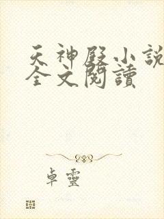 天神殿小说免费全文阅读