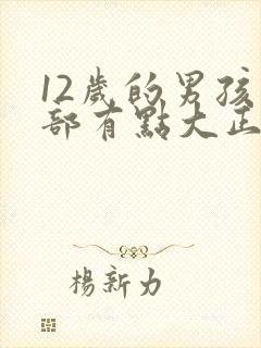 12岁的男孩胸部有点大正常吗
