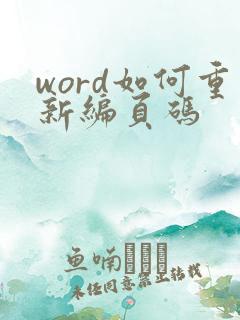 word如何重新编页码