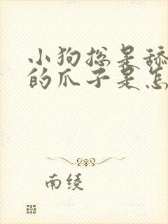 小狗总是舔自己的爪子是怎么回事
